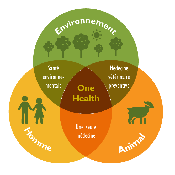 Schéma One Health