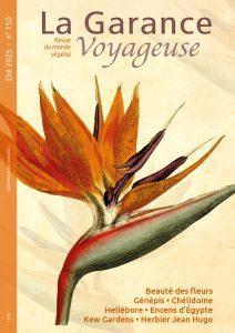 image de couverture / oiseau du paradis