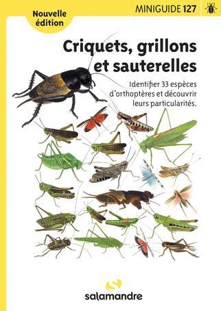 image de couverture